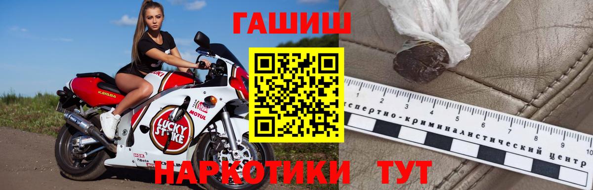 Кингисепп  ГАШ  Вход с VPN  ГАШ гашик  ГАШ Ice-O-Lator 