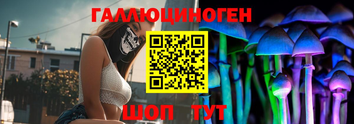 Кингисепп  Псилоцибиновые грибы ЛСД  Псилоцибиновые грибы прущие грибы  Вход с VPN 