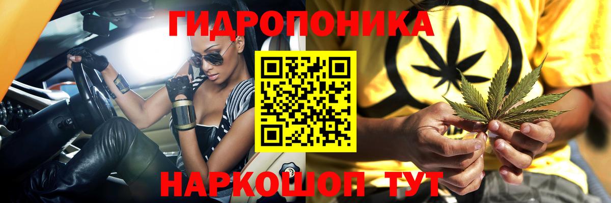 Кингисепп  Шишки марихуана Ganja  Конопля Amnesia  Конопля семена  Вход с VPN 